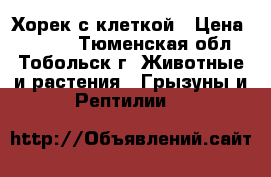 Хорек с клеткой › Цена ­ 3 000 - Тюменская обл., Тобольск г. Животные и растения » Грызуны и Рептилии   